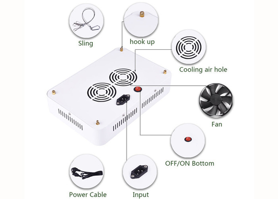 Indoor 300W Marijuana Grow Lights Full Spectrum For Greenhouse Garden Horticultural Agricultural