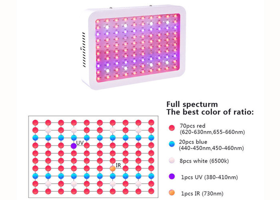 Indoor 300W Marijuana Grow Lights Full Spectrum For Greenhouse Garden Horticultural Agricultural