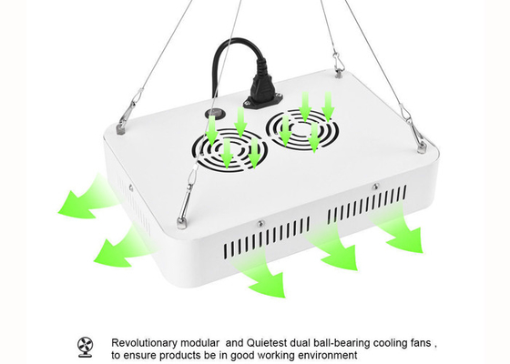 Indoor 300W Marijuana Grow Lights Full Spectrum For Greenhouse Garden Horticultural Agricultural