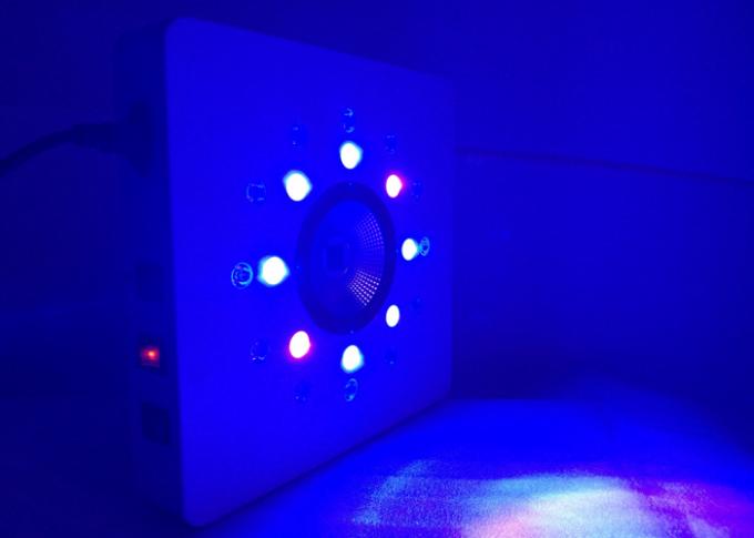 8leds 3W por racimo están trabajando