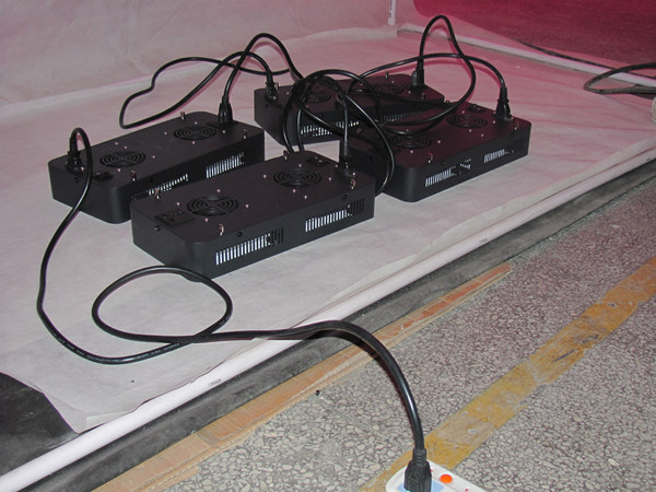 cultivador del bosque de la conexión eléctrica