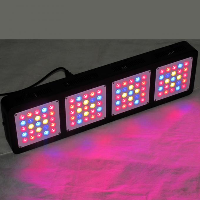 el poder más elevado llevado crece luces